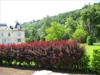 Le Manoir de l’Andelle_27380 CHARLEVAL_8